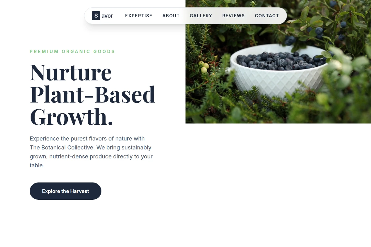 Savor Organic Food