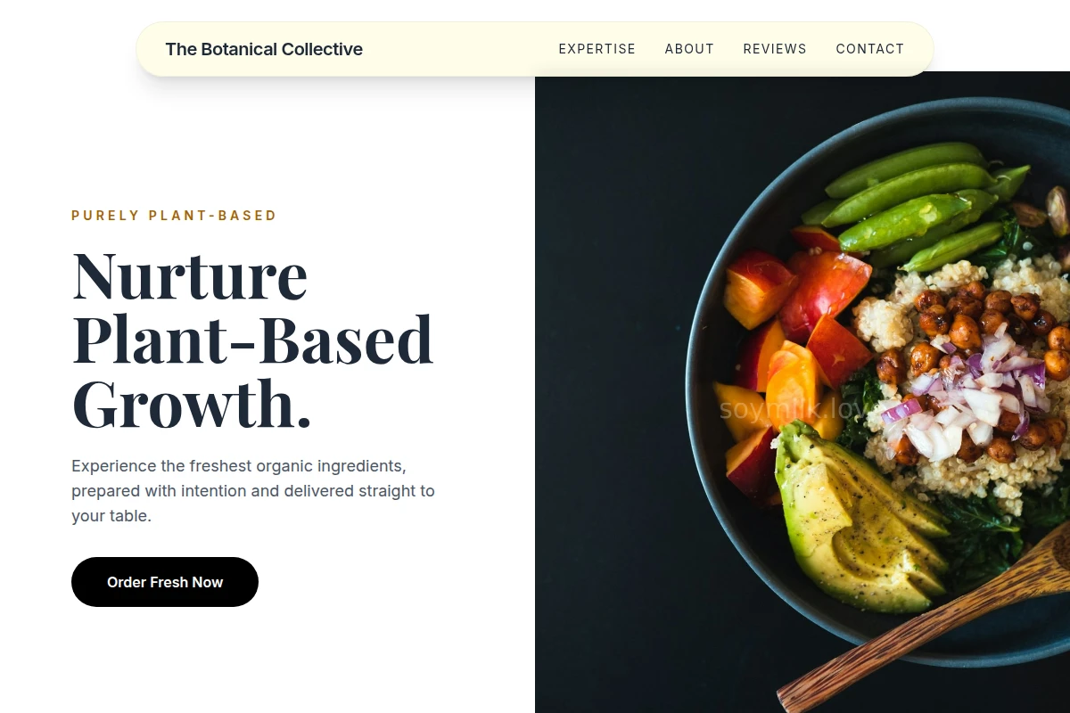 Organic Vegan Food